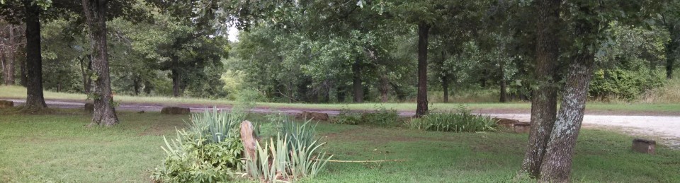 Urban Mouse, Rural House