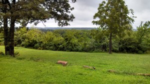 IMG_20130730_114316_502