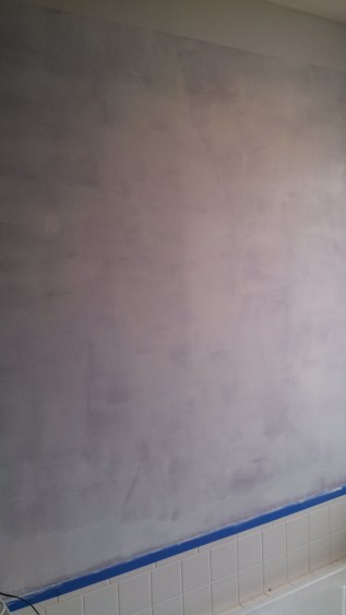 IMG_20140318_164821_425