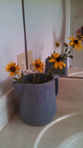 IMG_20140817_200556_857