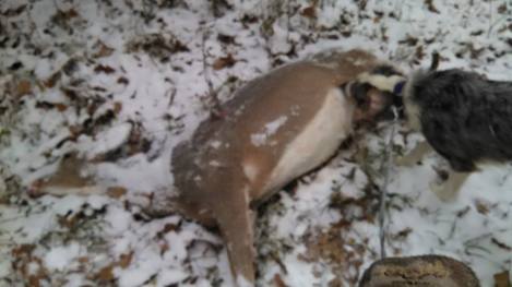 10624953_10154821218900321_8447680188698996364_n