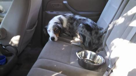 1972316_10154743113270321_3823932040748361670_n