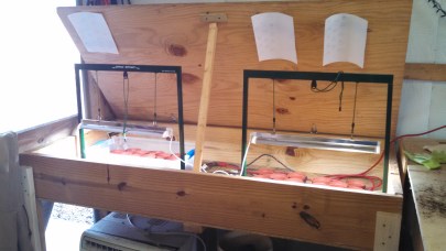 IMG_20150307_170634_450