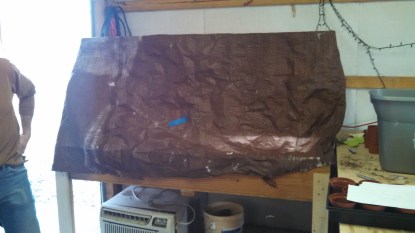 IMG_20150307_171629_276